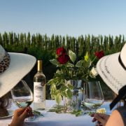 KM 1120 CABERNET FRANC 2019