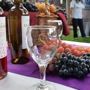 VENDIMIA, BODEGAS DE TODA LA PROVINCIA EN EL CORAZÓN DE LA FIESTA. VENDIMIA, BODEGAS DE TODA LA PROVINCIA EN EL CORAZÓN DE LA FIESTA.