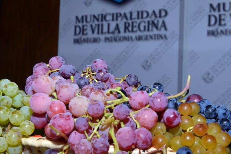 Paseo Enogastronómico en el marco de ‘Vendimia Celebra 2021’