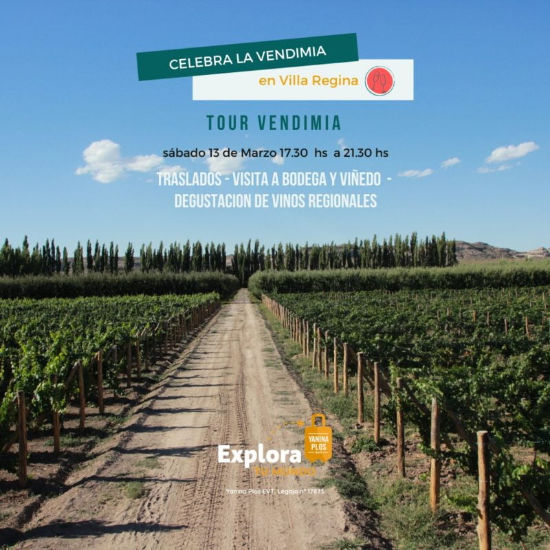 Propuestas que acompañan ‘Vendimia Celebra 2021’