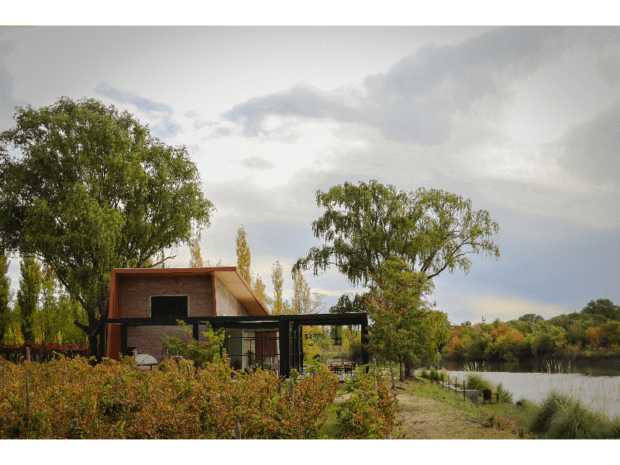 BODEGA TRINA, A ORILLAS DEL RIO COLORADO
