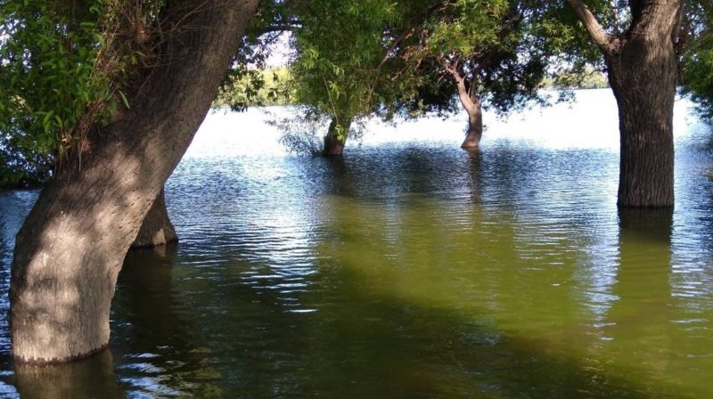 Precauciones ante el aumento del caudal del río Negro