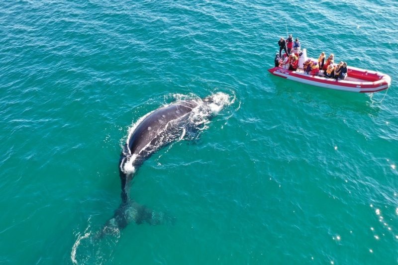 Propuestas rionegrinas para disfrutar de la Costa Atlántica en invierno