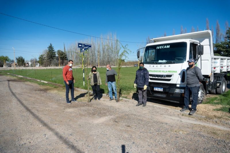 Campaña de los 1000 árboles: comenzó su entrega