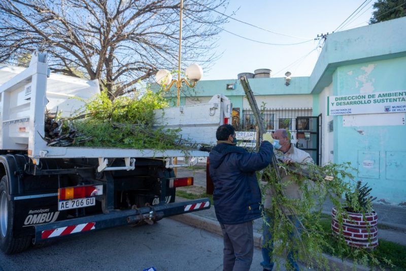 Cómo se llevó a cabo la campaña de forestación