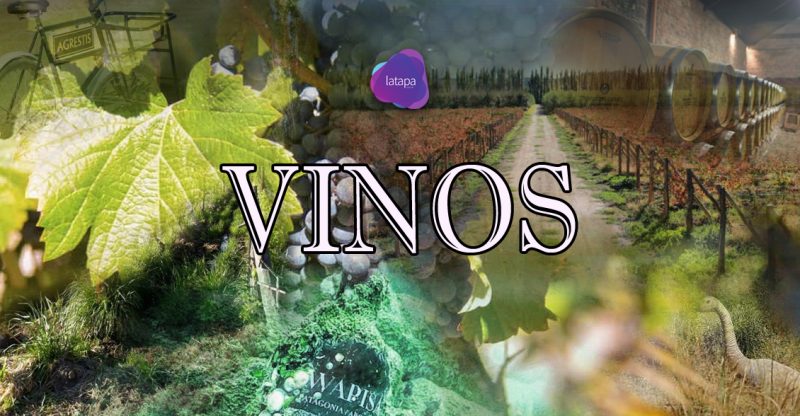 EN CADA COPA DE VINO HAY UN POCO DE TODOS NOSOTROS
