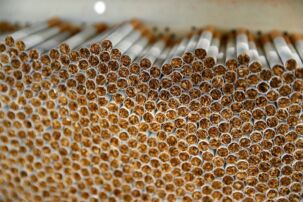 DÍA MUNDIAL SIN TABACO: Cultiva alimentos, no tabaco